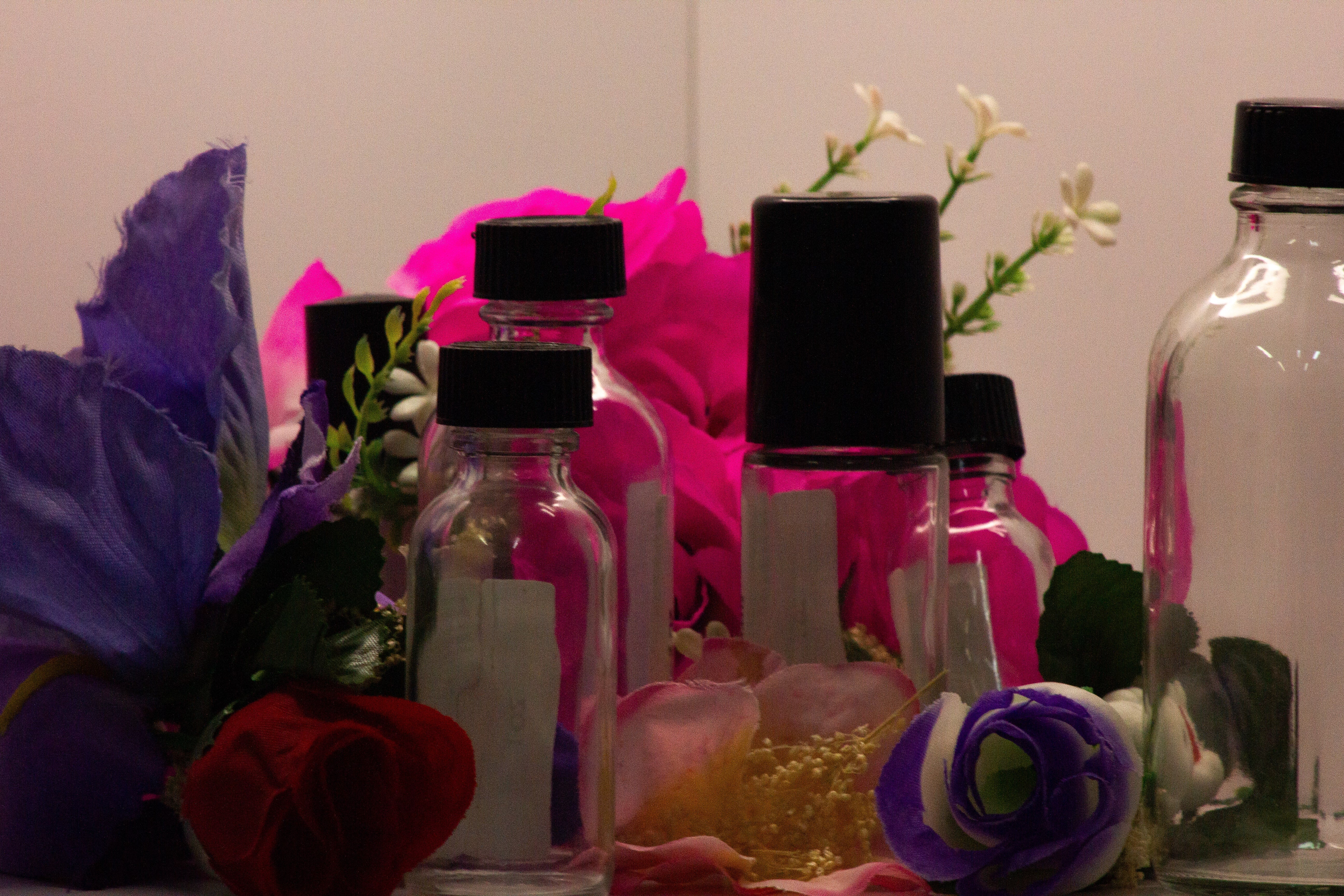Collections – AYA Fragrances