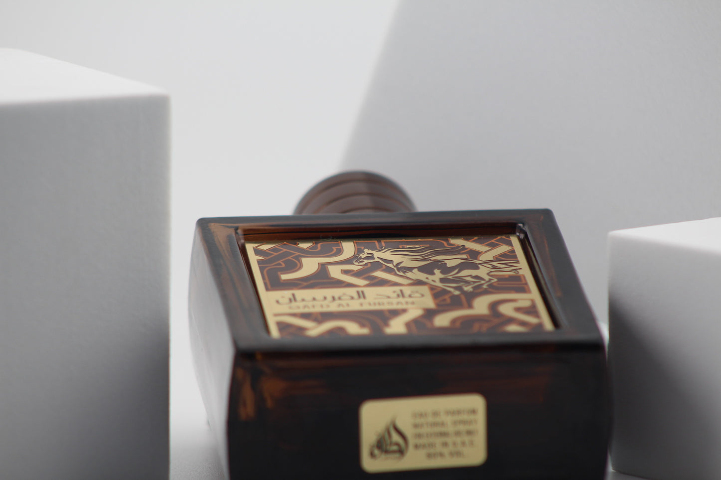 Qaed Al Fursan Untamed